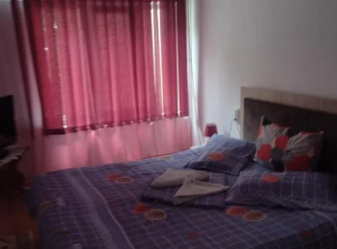 Holiday * נפטון